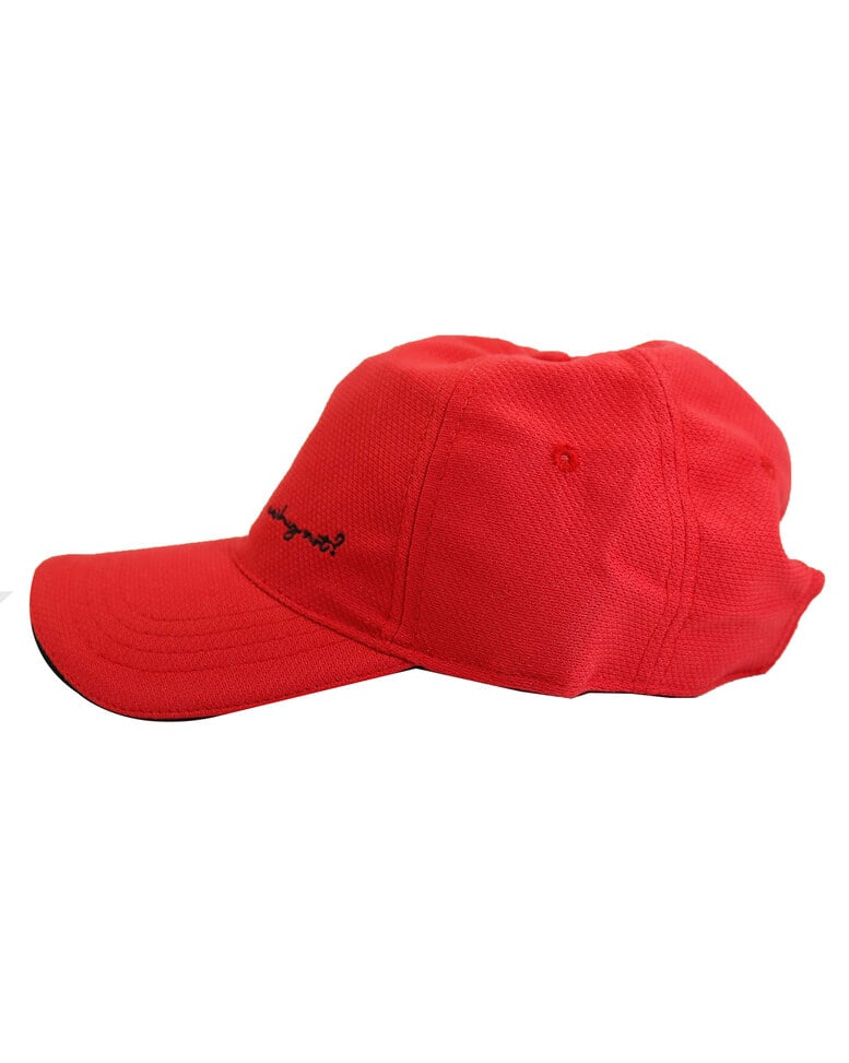 Cotton Embroidered Cap view 5