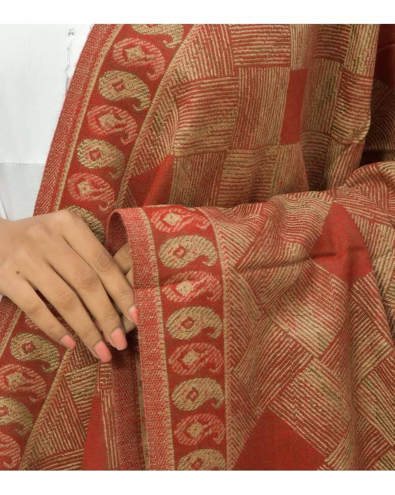 Wool Printed Shawl view 4