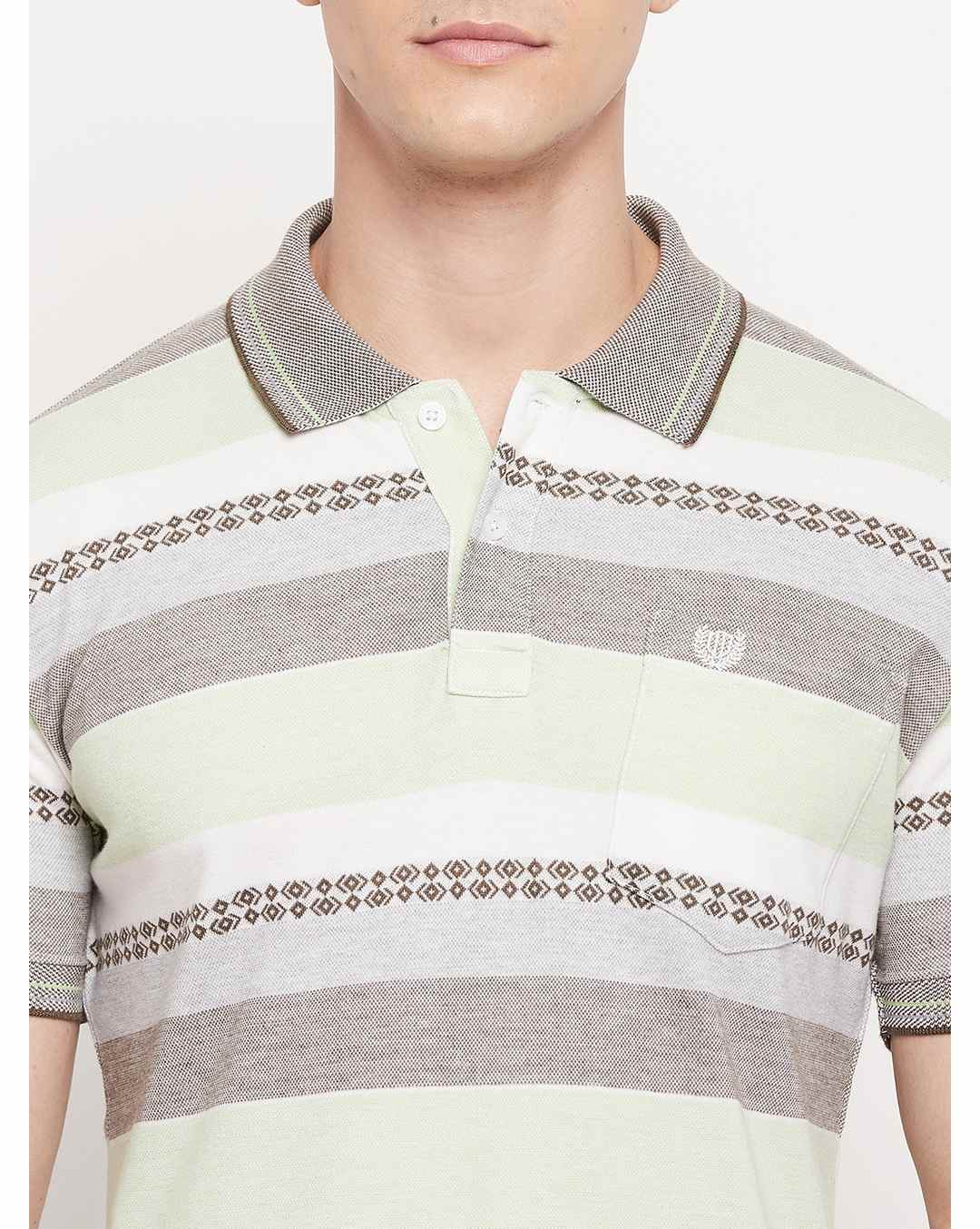 Blended Stripes Regular Fit Polo tshirt view 5