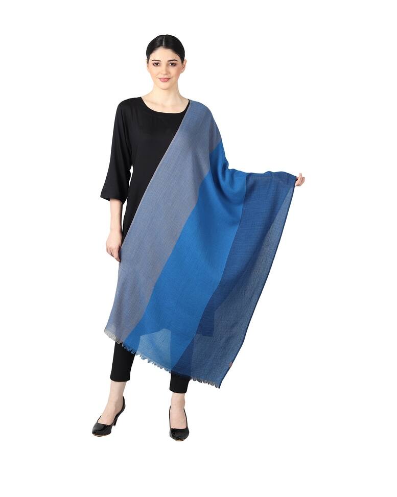 Viscose color-block Stole