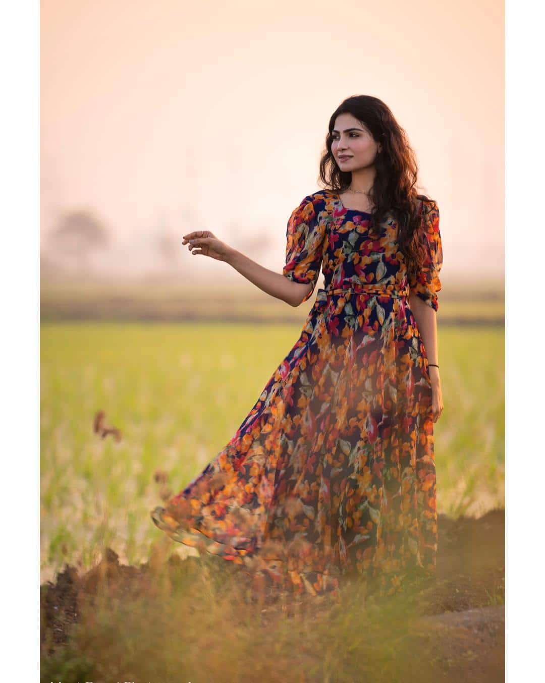 Chiffon Printed Fit and Flare Dress view 8
