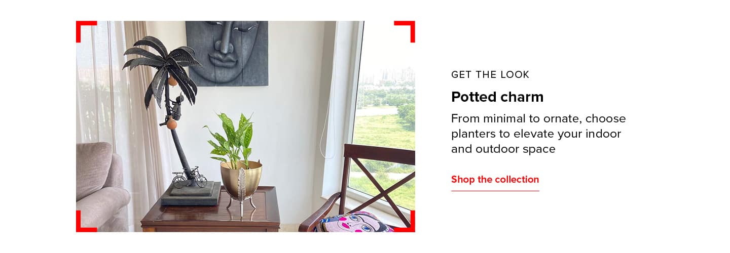 Potted Charm