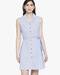 Striped Shirt Dress with Belt