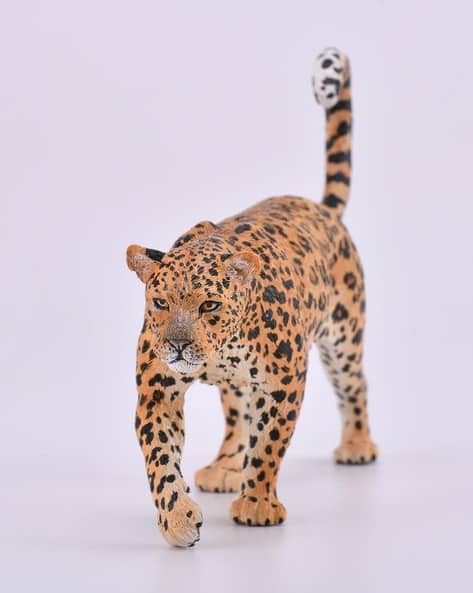 African Leopard African Wildlife Toy Model Figure by CollectA 88866 Brand New African Leopard African Wildlife Toy Model Figure by CollectA 88866 Brand New