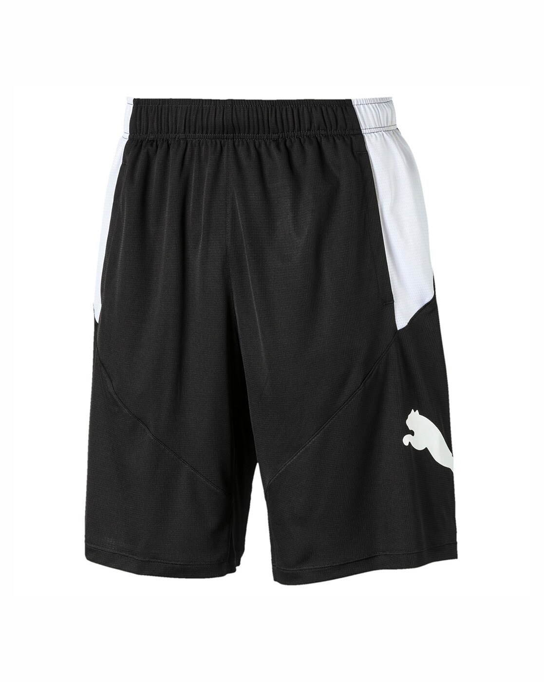 Puma cat short new arrivals