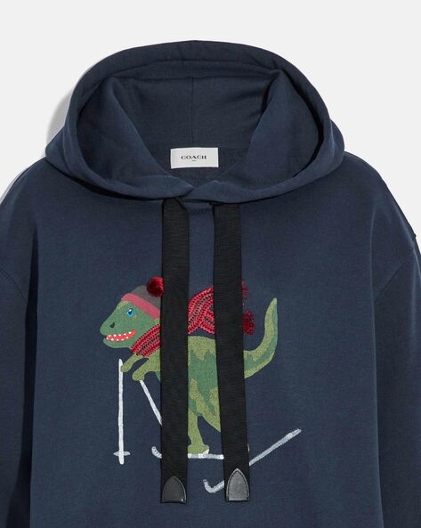 Coach on sale dinosaur sweatshirt