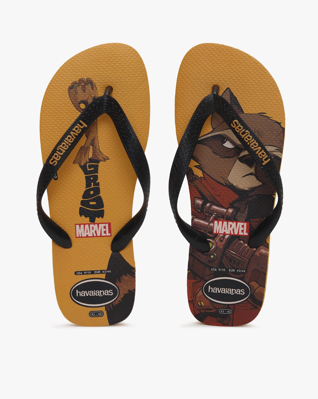 havaianas groot