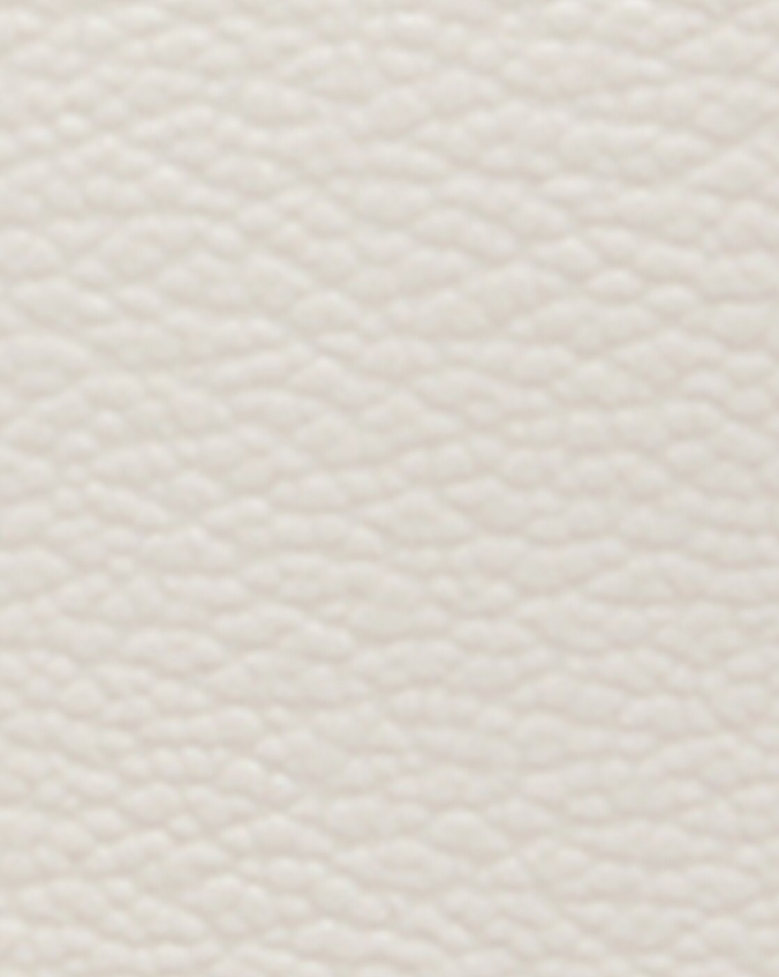Buy Coach Nolita 19 Dark Prairie Print Chalk Wristlet for Women Online @  Tata CLiQ Luxury