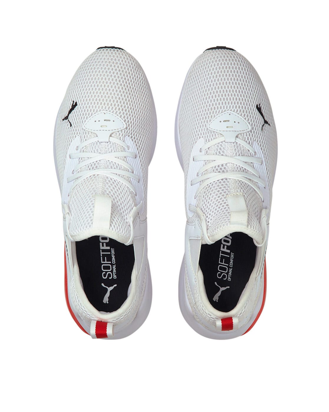 puma cell vive summer