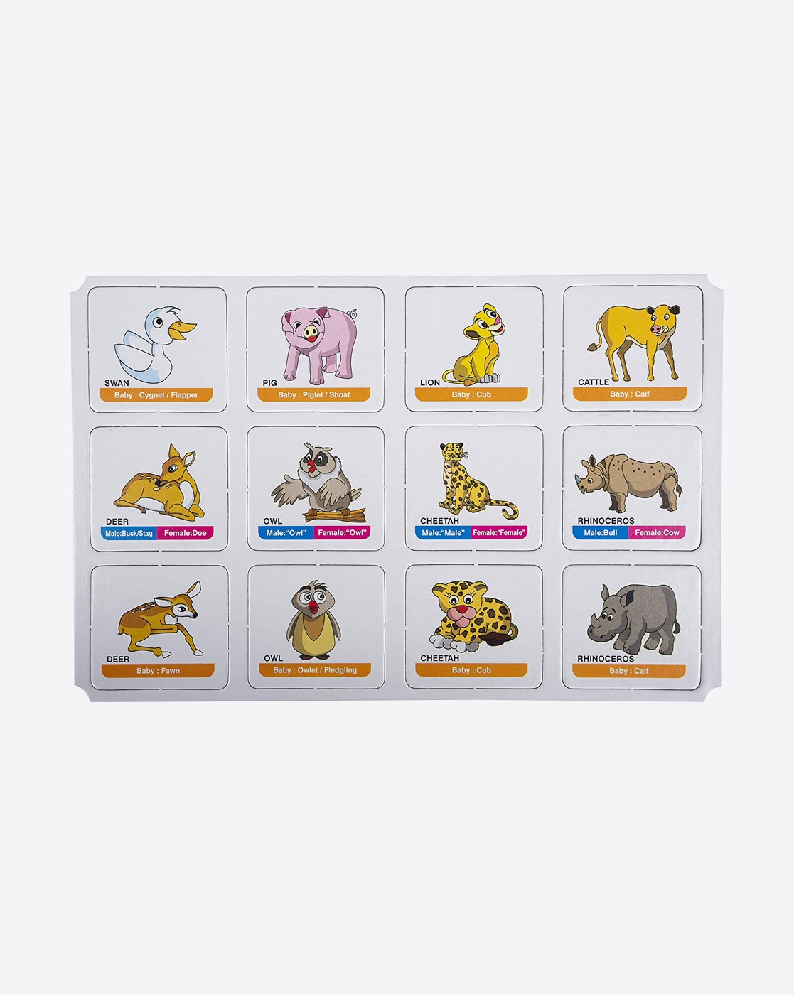 FUNSKOOL Mastermind Animal Friends Educational Board Games Board Game -  Mastermind Animal Friends . Buy Animals toys in India. shop for FUNSKOOL  products in India. Toys for 5 - 12 Years Kids.