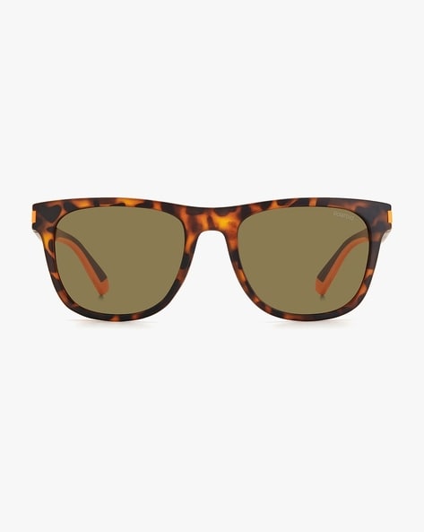 Tortoise Shell Sunglasses – Polarized Sunglasses – Sunski