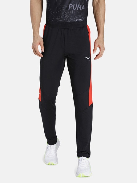 Buy Olive Track Pants for Men by 98°north Online | Ajio.com