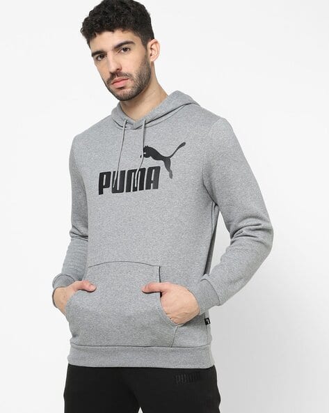 Puma Ess Big Logo Sportstyle Core Hoodie