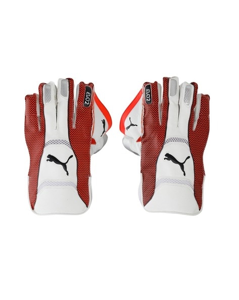 Puma evo 2 store wicket keeping gloves