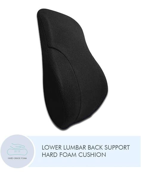 cushion between spine