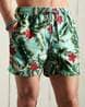 Buy Green Shorts & 3/4ths for Men by SUPERDRY Online | Ajio.com