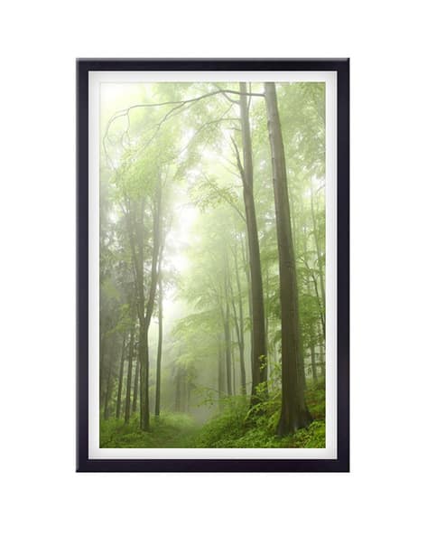 999store Tropical Printed Wooden Canvas Painting