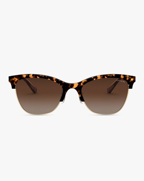 Coach 0HC8292 Sunglasses in Black | Target Optical