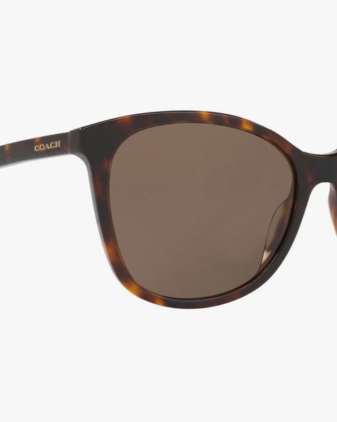 Coach luxottica best sale