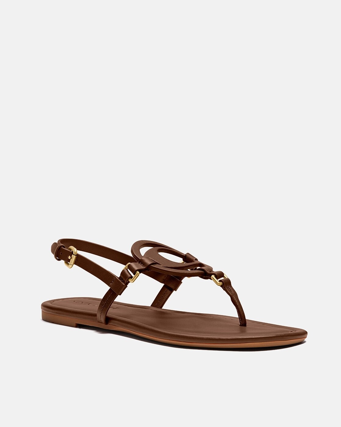 Buy Coach Jeri Leather Sandal with Buckle Closure Brown Color