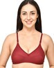 Buy Maroon Bras for Women by VERMILION Online 