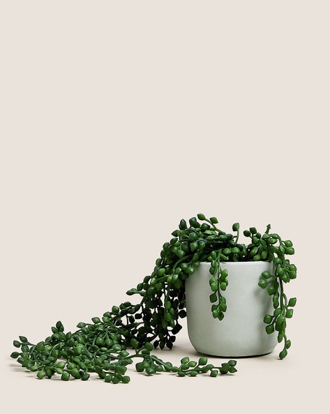 Artificial Mini Trailing Plant in Pot