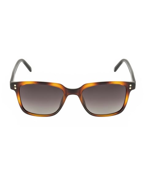 Apollo Sunglasses: TORTOISE | Heat Wave Visual