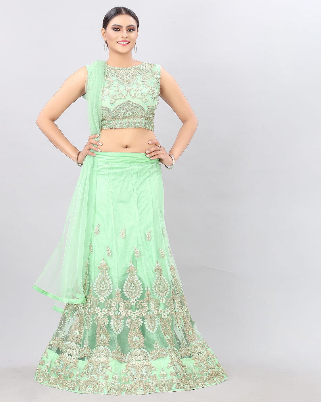 Light green net designer lehenga choli 1066