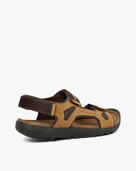 Buy Tan Brown Sandals for Men by Campus Online | Ajio.com