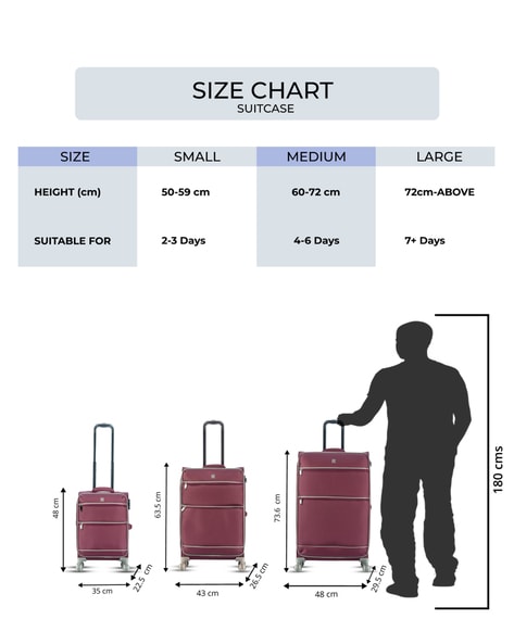 Buy Maroon Luggage Trolley Bags for Men by It Luggage Online