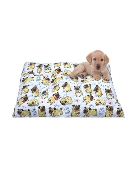 AAZEEM Printed Anti-Skid Pet Bed