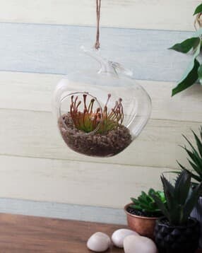 tayhaa Artificial Plants with Glass Pot-picture-50