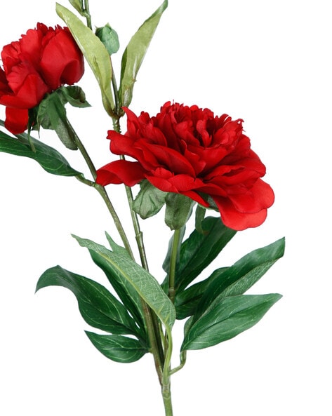 Red Rose, Size: 50 cm, Packaging Size: 20 Stems at Rs 250/piece in  Bengaluru