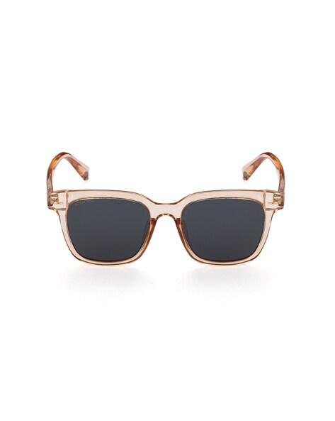 Dolce and discount gabbana royal sunglasses