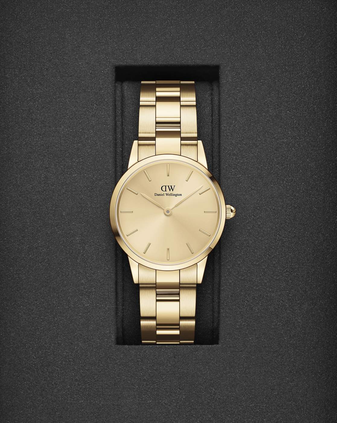 Women Iconic Link Unitone Round Analogue Watch DW00100403