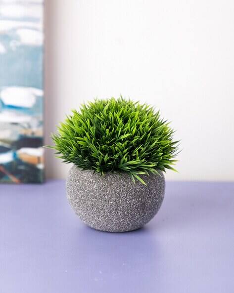 Set of Flower With Pot