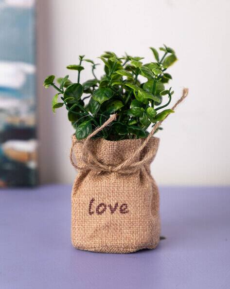 Set of Flower & Pot