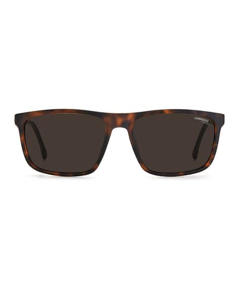 Buy CARRERA Animal Print Rectangular Sunglasses | Brown  display picture 1