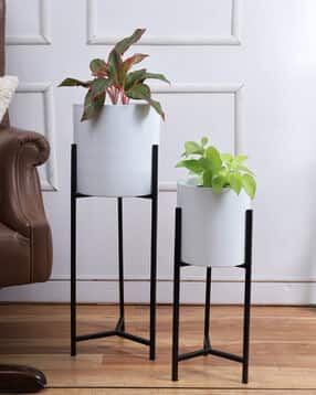 aapno rajasthan Set of 2 Ceramic Planters with Stands-picture-42