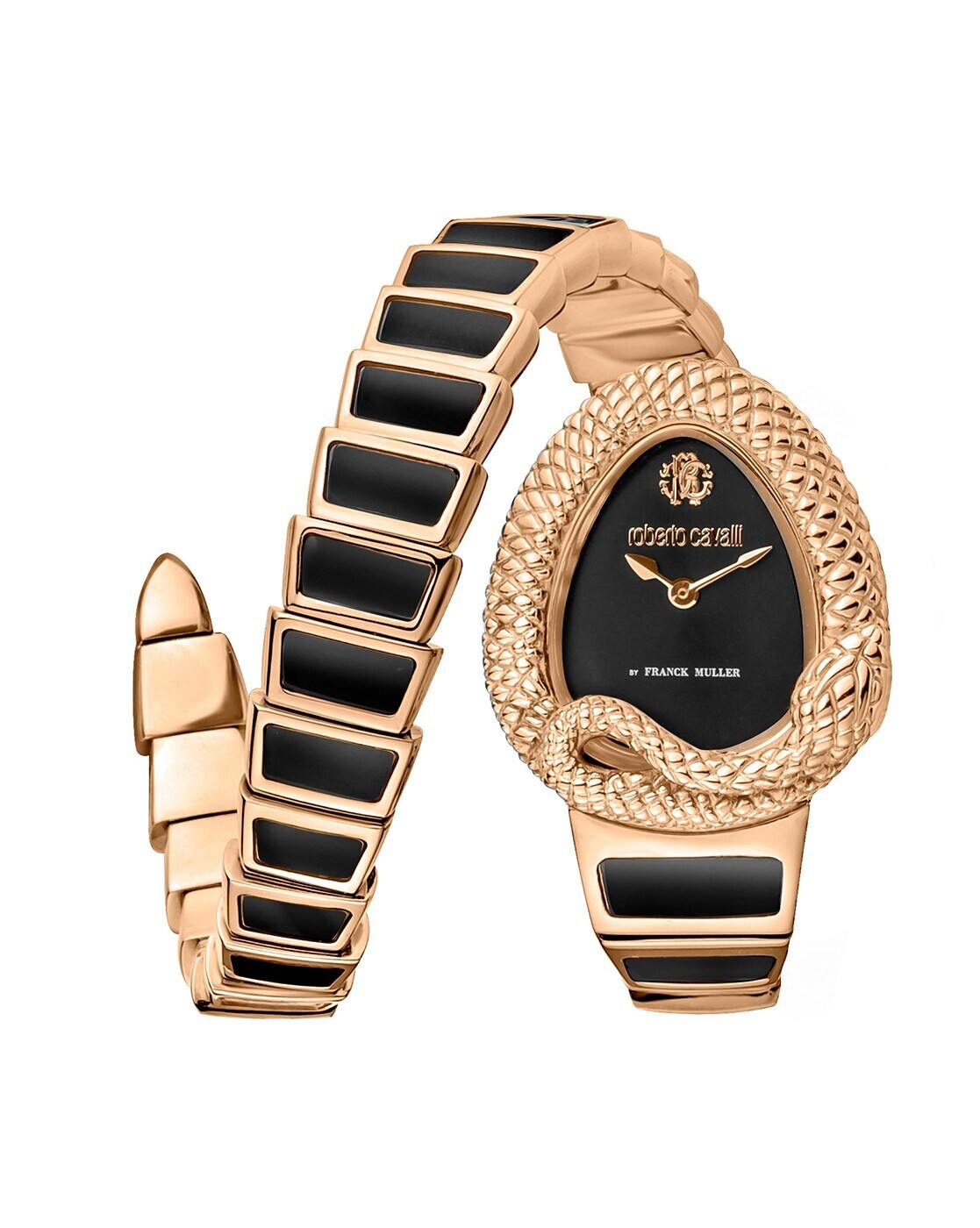 Buy ROBERTO CAVALLI RV1L141M0061 RC 148 Watch for Women by Franck