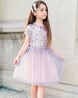 Buy Grey Dresses & Frocks for Girls by Cherry Crumble by Nitt hyman ...