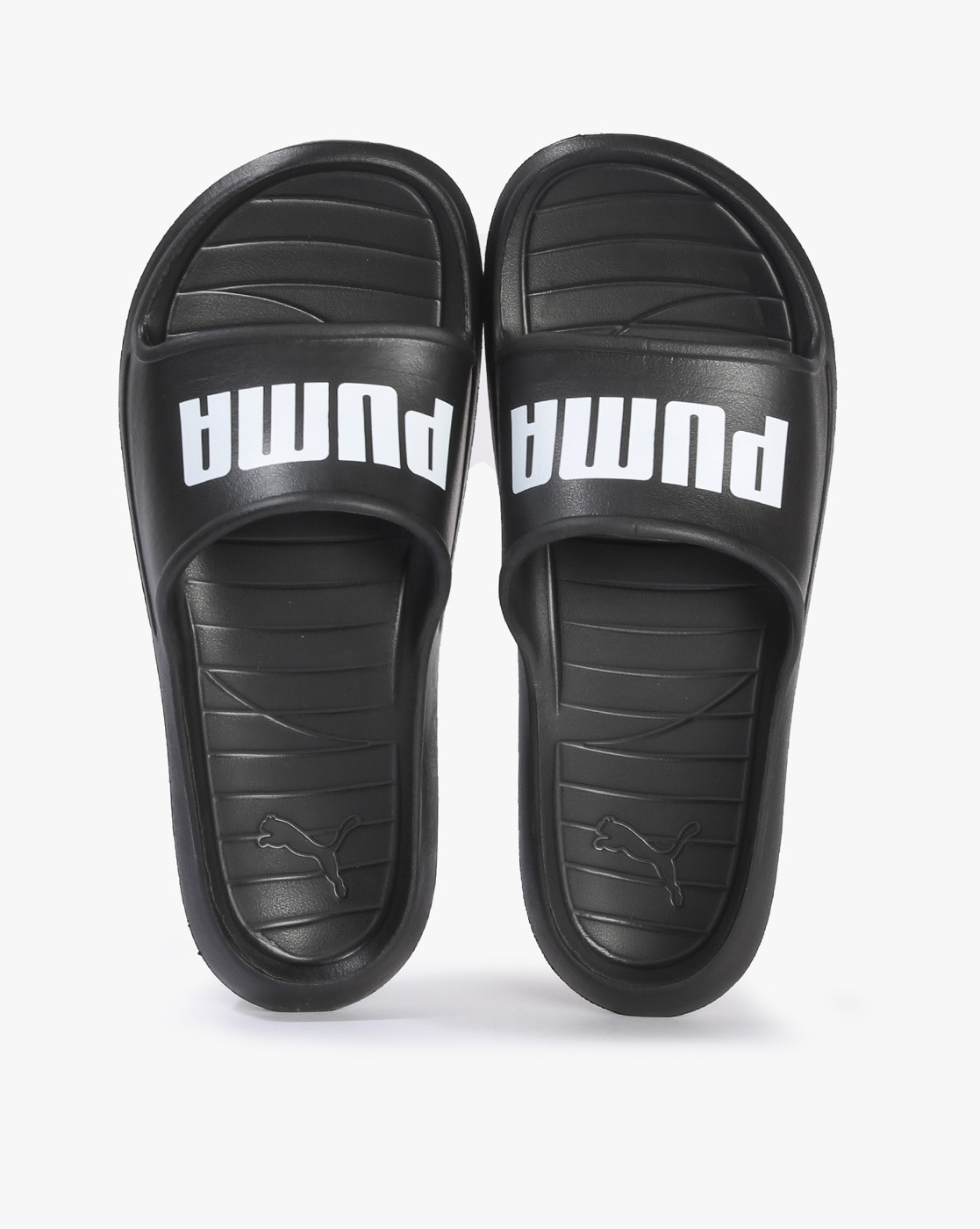 Puma divecat store v2 slides