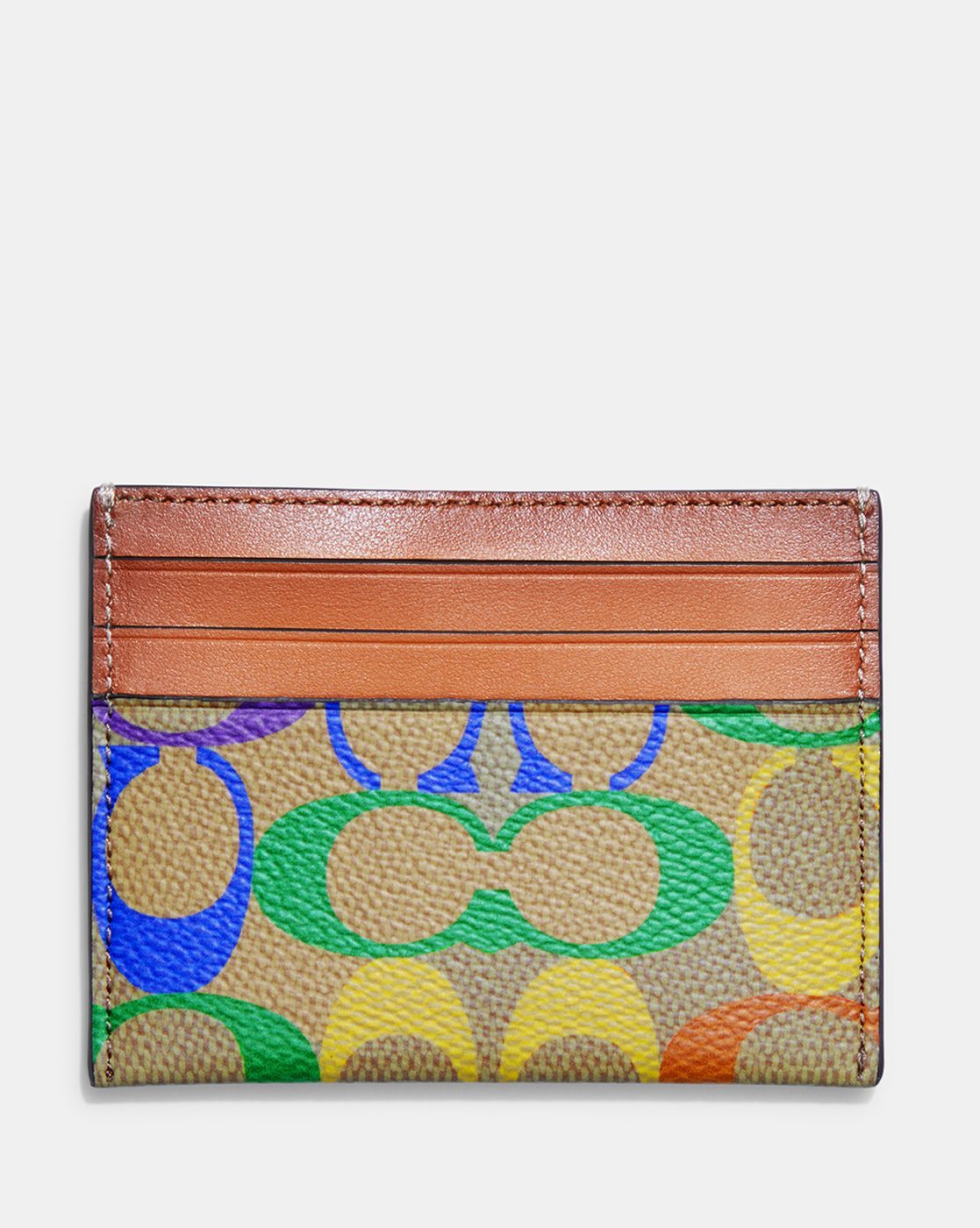 Multifunction Card Case In Rainbow Signature Canvas