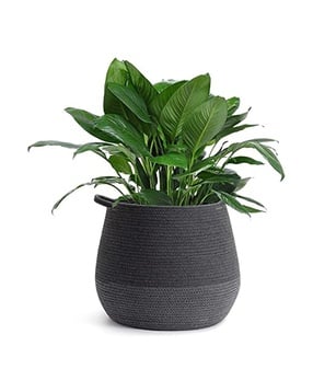 Foldable Laundry Cotton Pot-image-45
