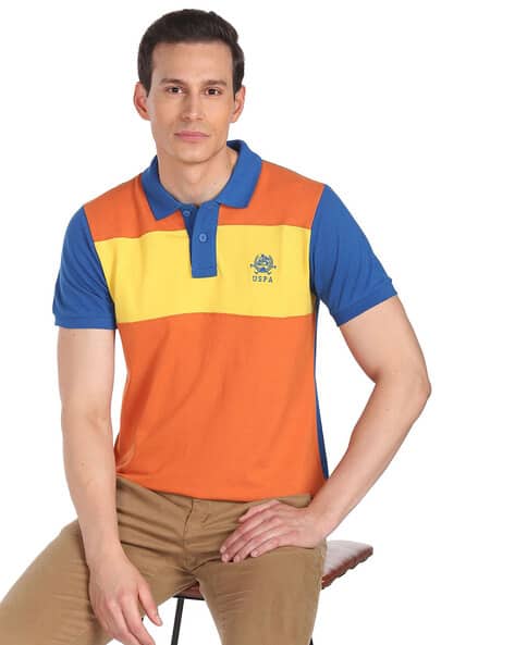 Regular Fit Colorblock Polo T-Shirt