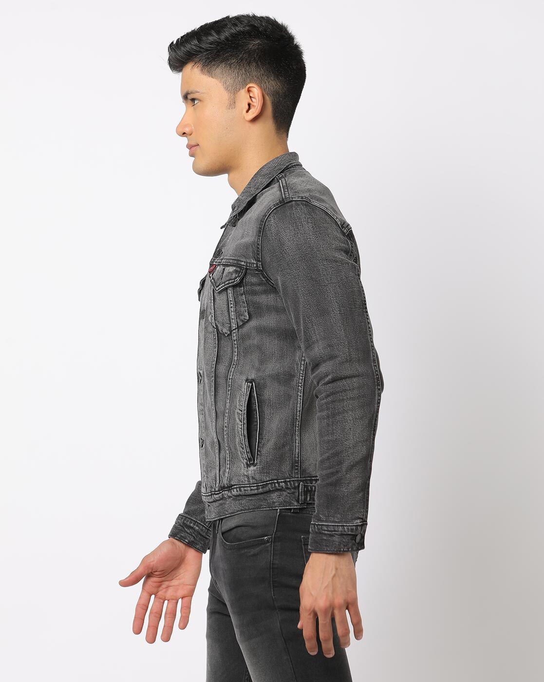 levi's trucker jacket panther