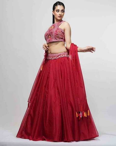 Seraphic Blue Lehenga Choli Red Blouse In Chikankari INSPMAY223 –  ShreeFashionWear