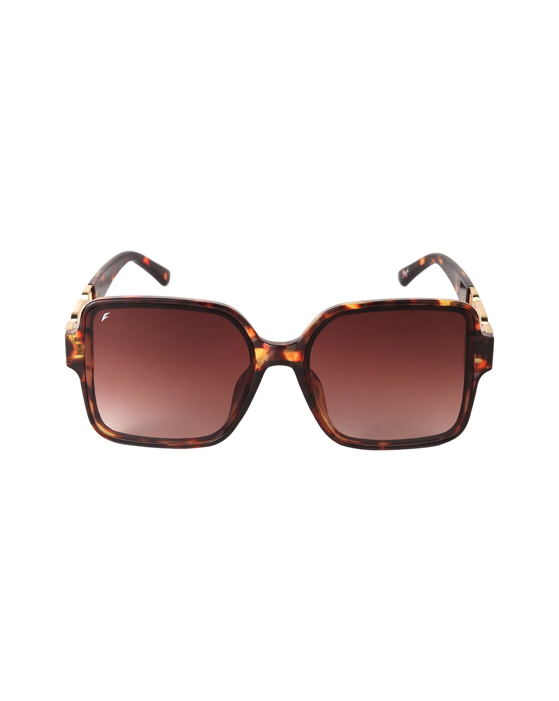 Burgundy Recycled Acetate Round Cat-Eye Sunglasses - CHARLES & KEITH US