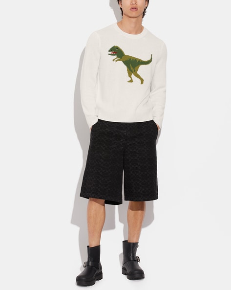 Coach hot sale dinosaur jumper