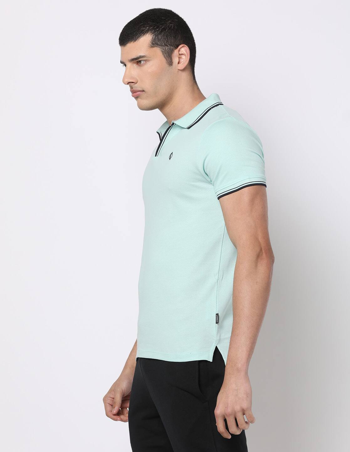 Regular Fit Polo T-Shirt with Tipped Collar